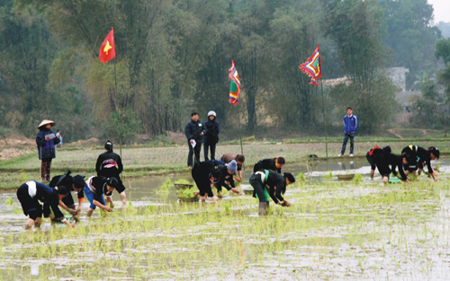 Vui xuân với lễ hội Lồng Tồng 2013